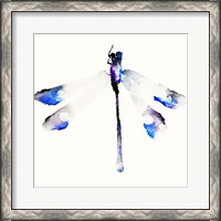 Framed Blue & Violet Dragonfly