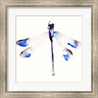 Framed Blue & Violet Dragonfly
