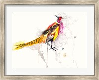 Framed Pheasant