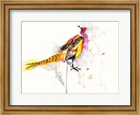Framed Pheasant