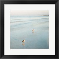 Framed Two Birds on Beach