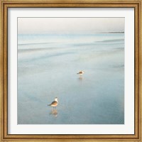 Framed Two Birds on Beach