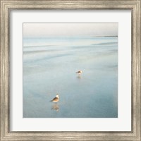 Framed Two Birds on Beach