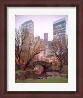Framed Central Park, NYC
