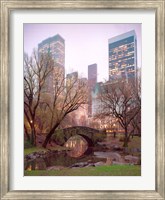 Framed Central Park, NYC