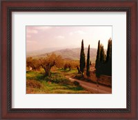 Framed Toscana, Italia No. 709