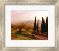 Framed Toscana, Italia No. 709