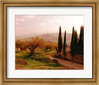 Framed Toscana, Italia No. 709