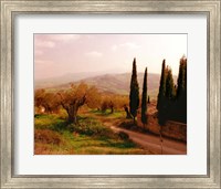 Framed Toscana, Italia No. 709