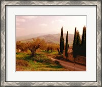 Framed Toscana, Italia No. 709