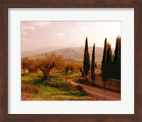 Framed Toscana, Italia No. 709