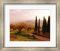 Framed Toscana, Italia No. 709