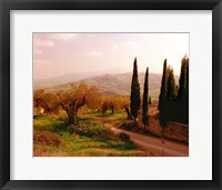 Framed Toscana, Italia No. 709