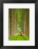 Framed Two Umbrellas, Belgium