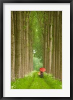 Framed Two Umbrellas, Belgium