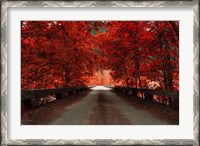 Framed Bridge (Red)