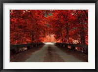 Framed Bridge (Red)