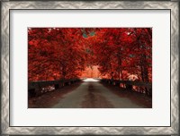 Framed Bridge (Red)