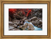 Framed Othello Tunnels