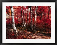 Framed Red Trees Path