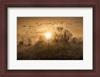 Framed Flight