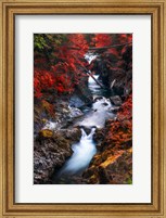 Framed Water in the Fall