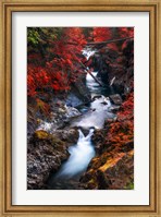 Framed Water in the Fall