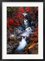 Framed Water in the Fall