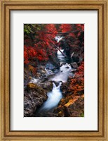 Framed Water in the Fall