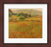 Framed Amapolas III