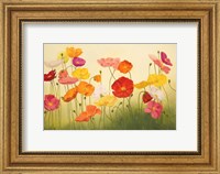 Framed Sunlit Poppies