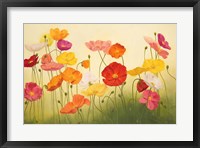 Framed Sunlit Poppies