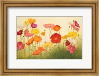 Framed Sunlit Poppies