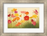 Framed Sunlit Poppies