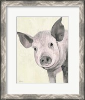 Framed Oink Pink Crop