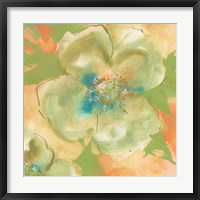 Olive Poppy I Framed Print