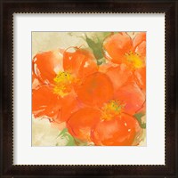Framed 'Tangerine Poppies II' border=