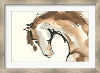 Framed Horse Head II