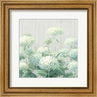 Framed White Hydrangea Garden Sage on Wood Crop