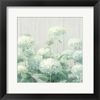 Framed White Hydrangea Garden Sage on Wood Crop