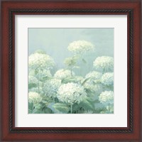 Framed White Hydrangea Garden Sage Crop