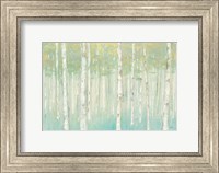 Framed Birches at Sunrise