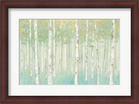 Framed Birches at Sunrise