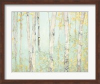 Framed Spring Birches