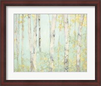 Framed Spring Birches
