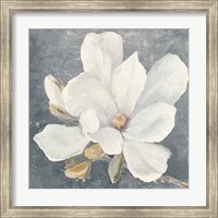 Framed Serene Magnolia Gray