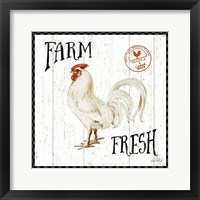 Framed Free Range Fresh III Checker Border