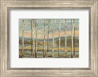 Framed Silver Forest