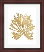 Framed Pacific Sea Mosses II Gold