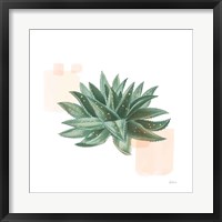 Framed Desert Color Succulent II